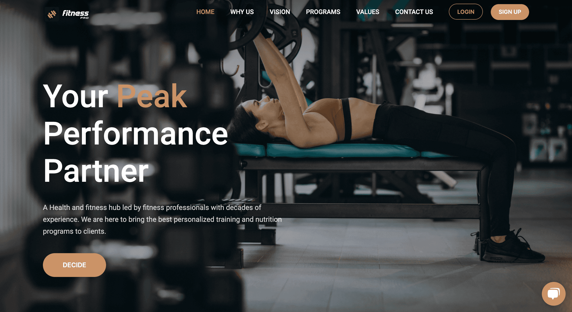 Fitness Pro dashboard